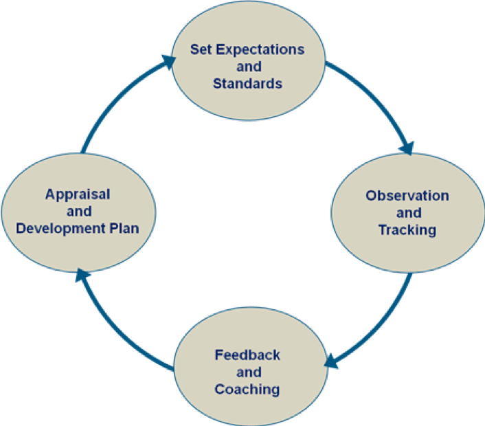 Performance Evaluation Cycle