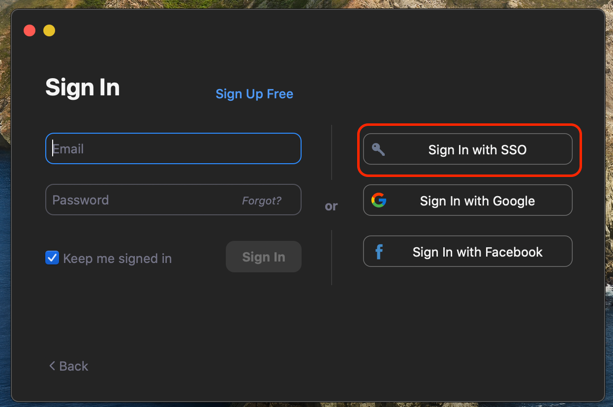 To login select Sign in SSO